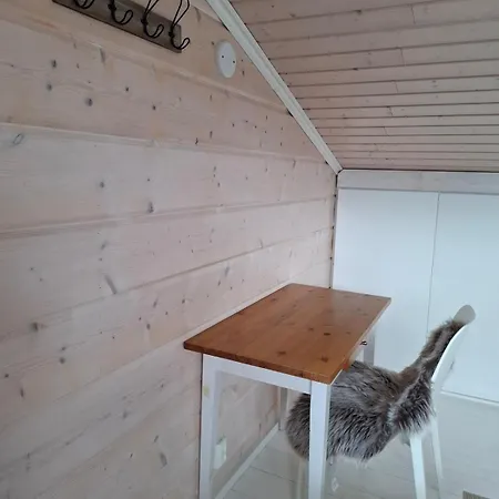 Chalet Saarimoekki Kangasniemellae Iso-paatsalo, Keskellae Puulaa, Kulkeminen Vain Veneellae