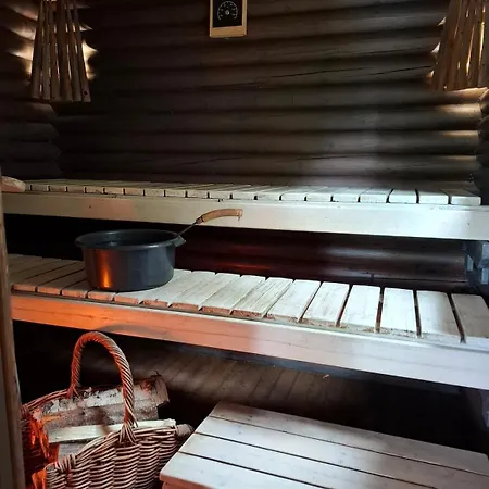 Chalet Saarimoekki Kangasniemellae Iso-paatsalo, Keskellae Puulaa, Kulkeminen Vain Veneellae Mikkeli