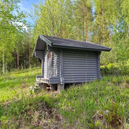 Saarimoekki Kangasniemellae Iso-paatsalo, Keskellae Puulaa, Kulkeminen Vain Veneellae Mikkeli